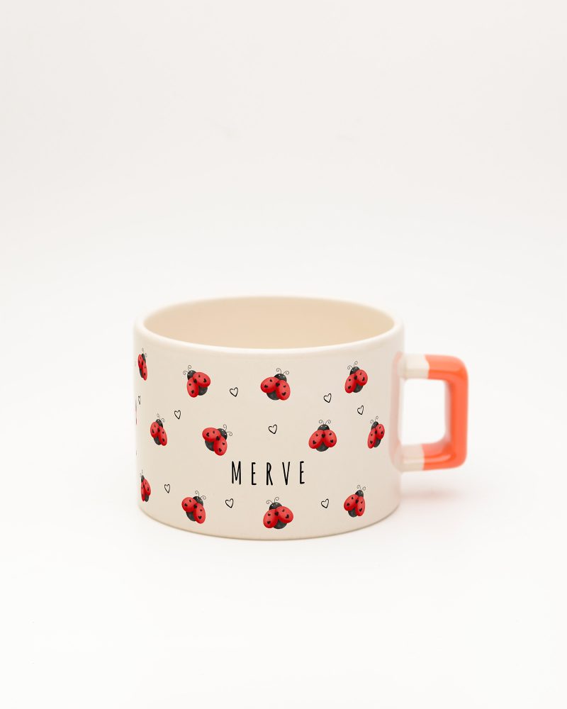 Turuncu kulplu Uğurböceği İsimli Fincan, ön yüz