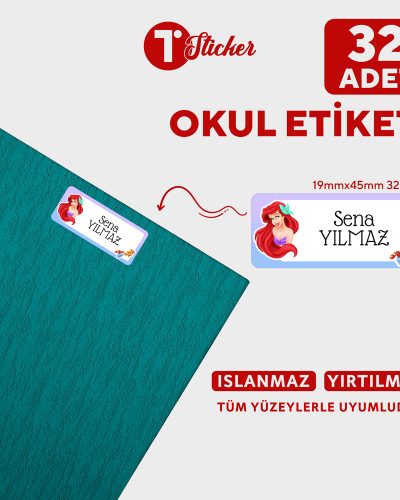 32 Adet Kişiye Özel Büyük Boy Okul Etiketi - Görsel 19