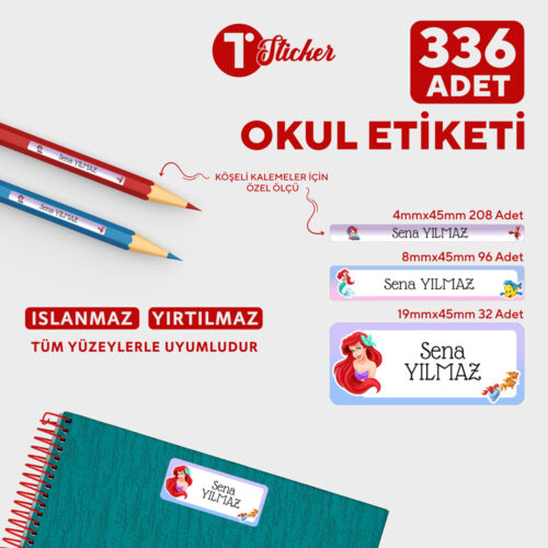 336 Adet Kişiye Özel Okul Etiketi - Görsel 20
